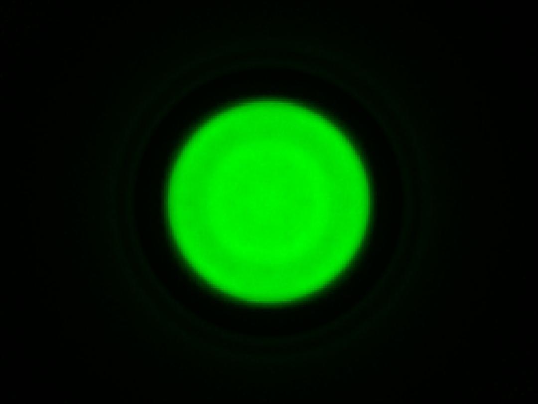 optic-10403-Cree-XQ-E-Plus-HI-Green-spot-image.jpg