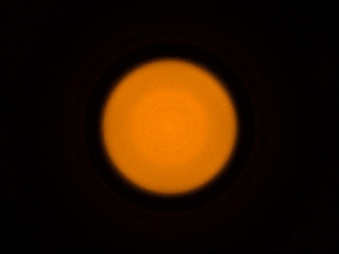 optic-10403-Cree-XQ-E-Plus-HI-PCAmber-spot-image.jpg