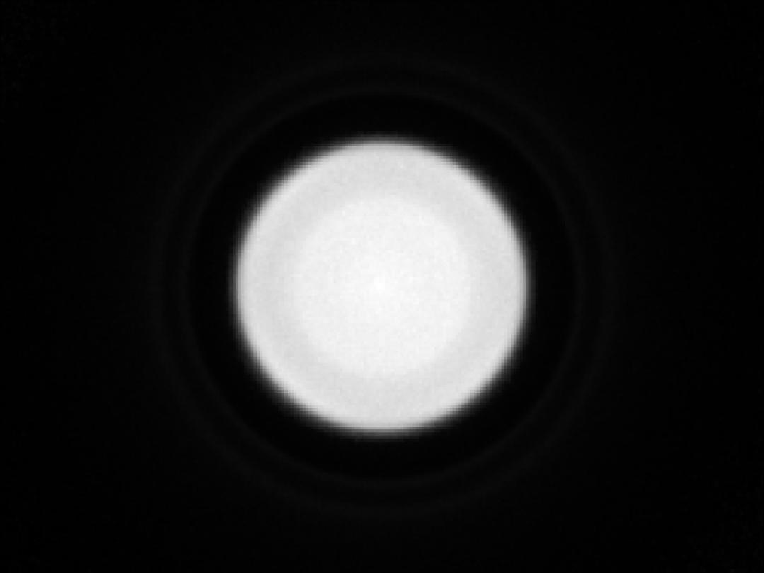 optic-10403-Cree-XQ-E-Plus-HI-White-spot-image.jpg