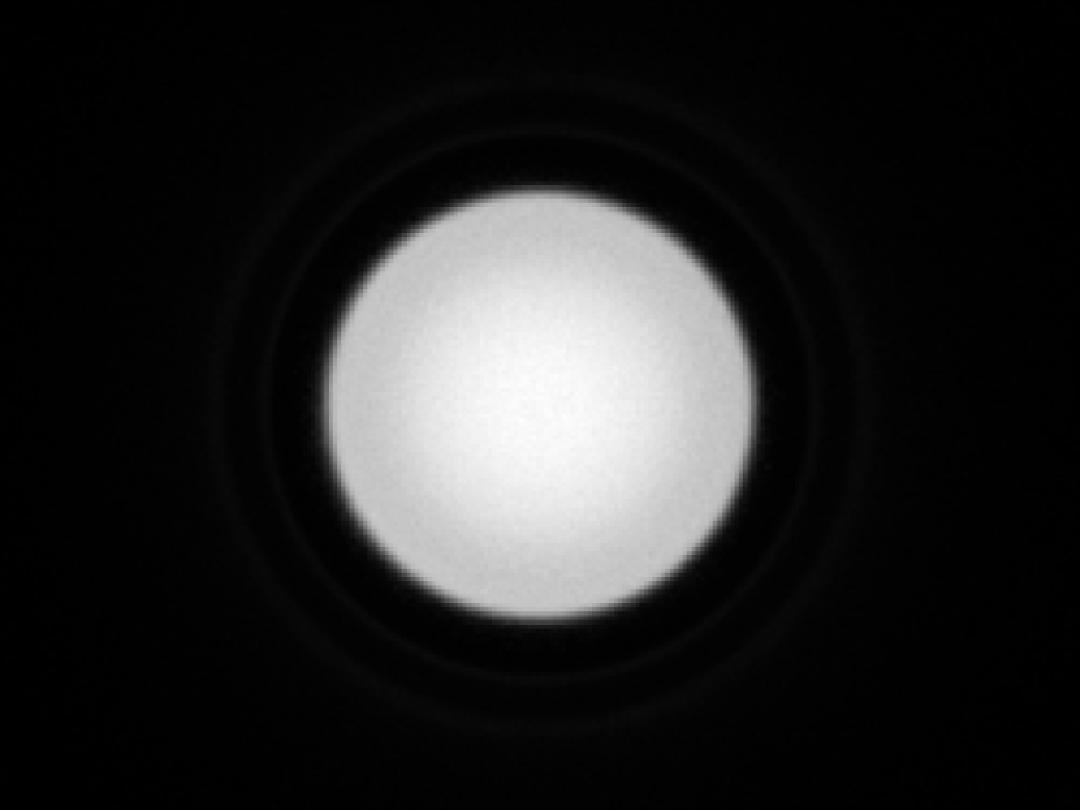 optic-10403-Cree_XP-GR-spot-image.jpg