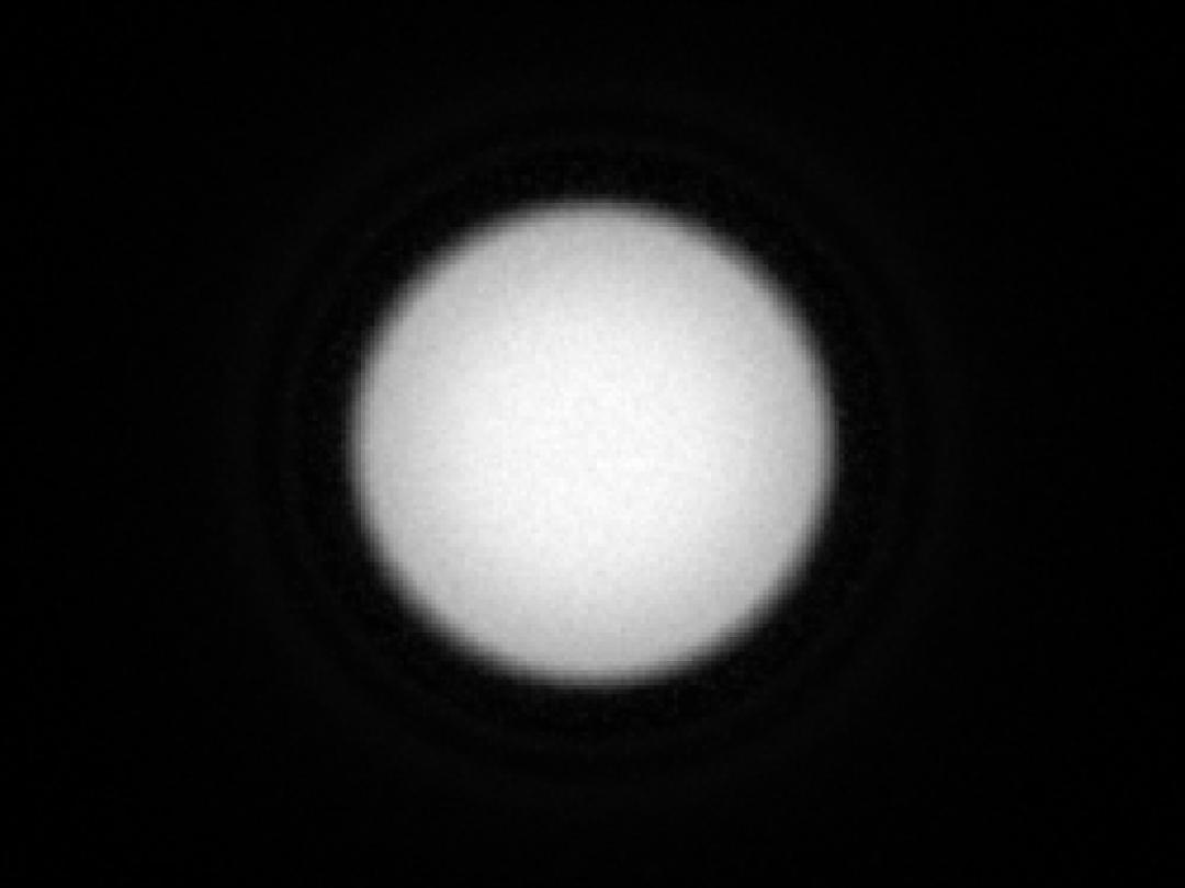 optic-10403-Luminus-SFT-40-W-Gen2-spot-image.jpg