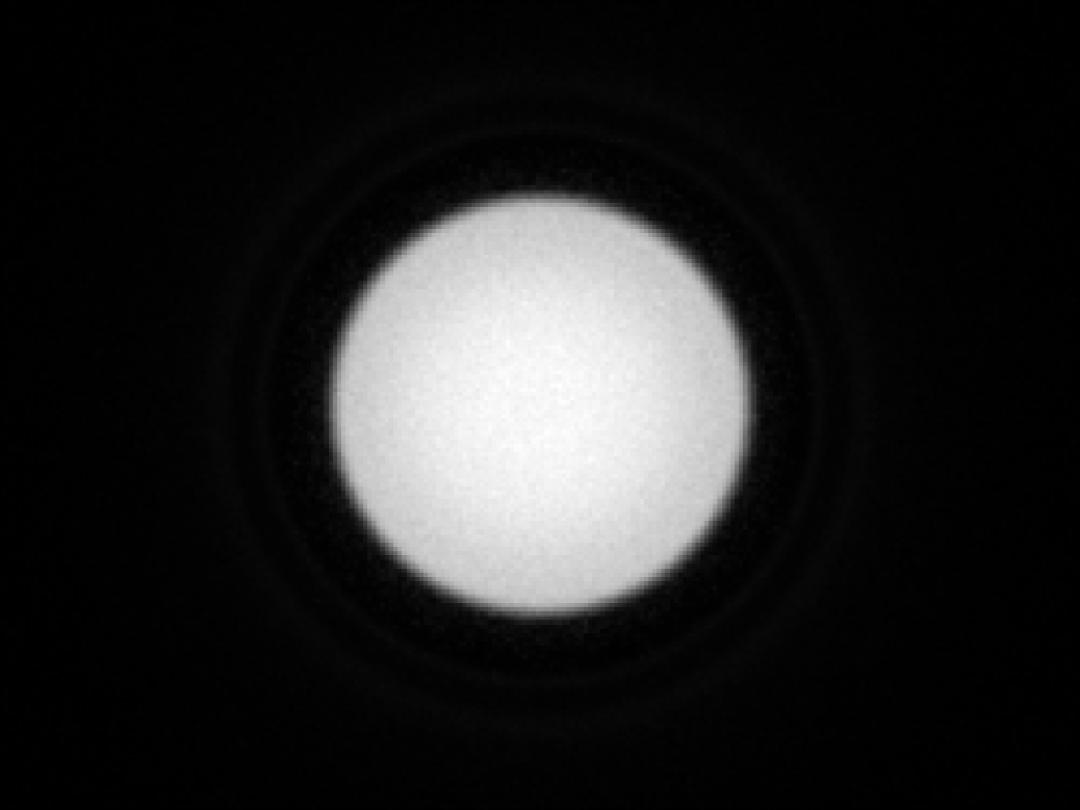 optic-10403-Luminus_SFT-25R-WES-A-spot-image.jpg