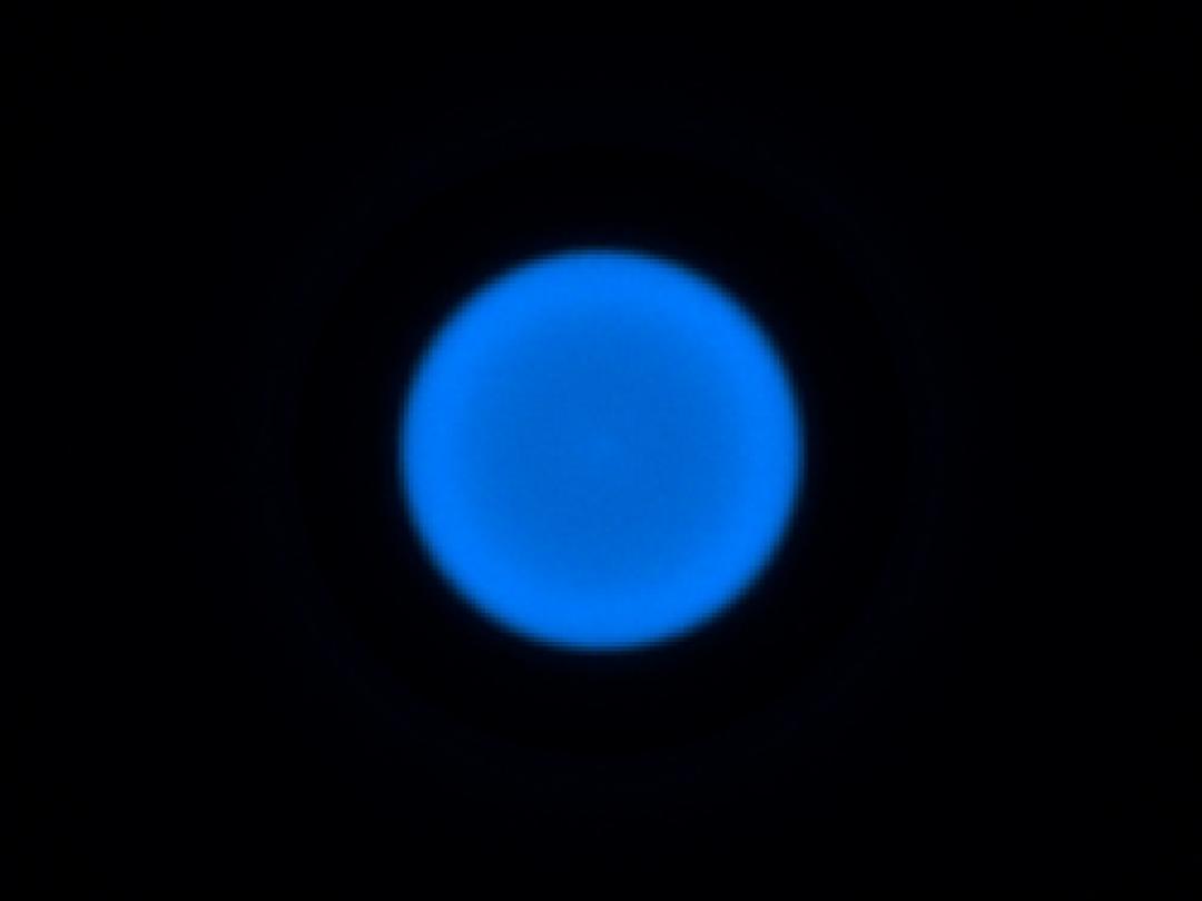 optic-10403-Luxeon-HL1Z-Blue-spot-image.jpg