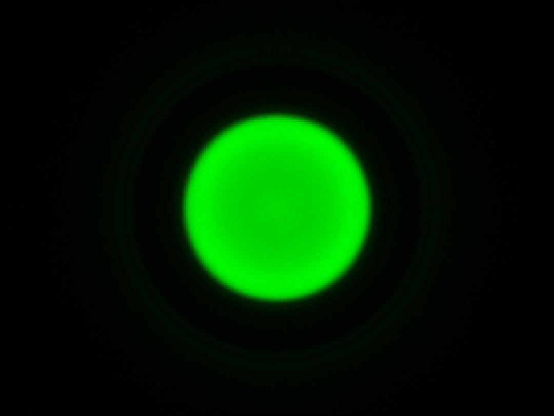 optic-10403-Luxeon-HL1Z-Green-spot-image.jpg