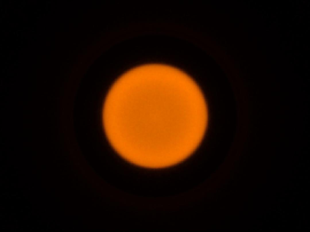 optic-10403-Luxeon-HL1Z-PC-Amber-spot-image.jpg