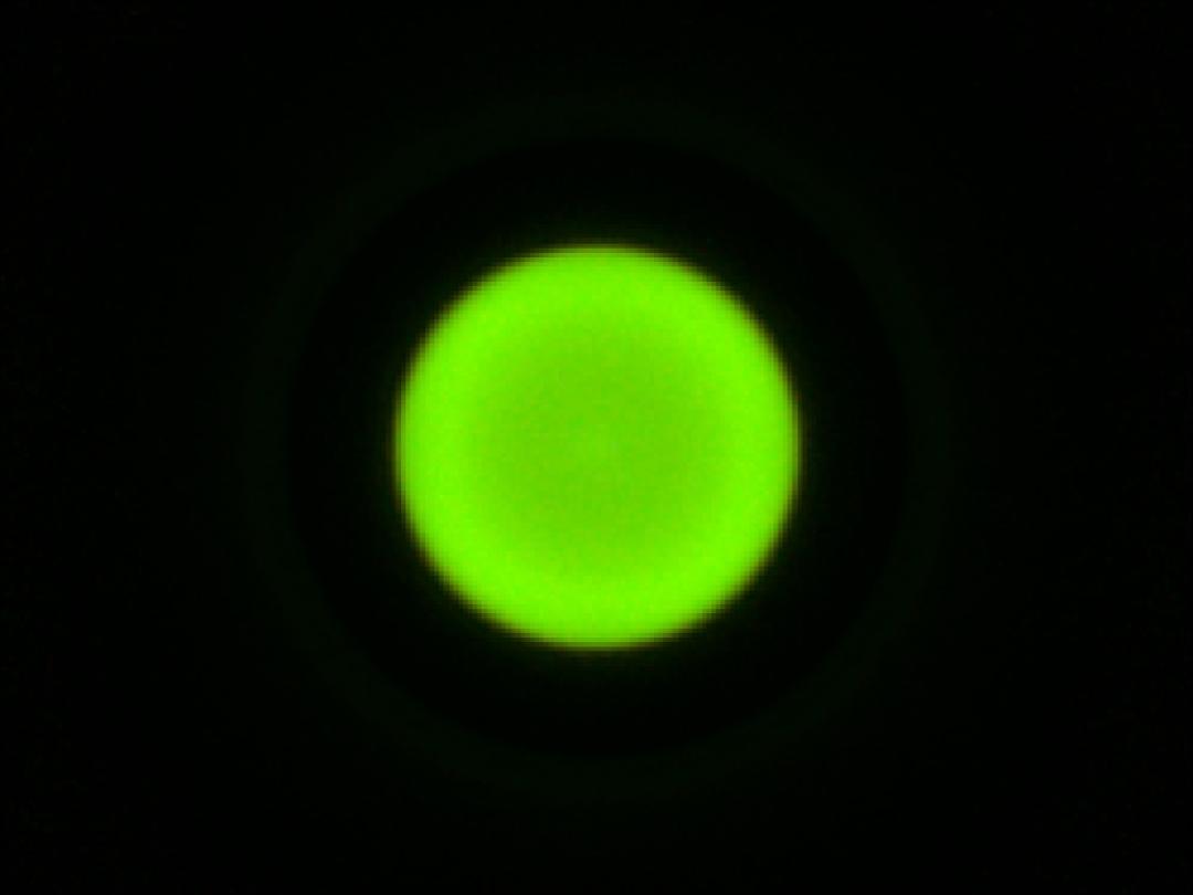 optic-10403-Luxeon-HL1Z-PC-Green-spot-image.jpg
