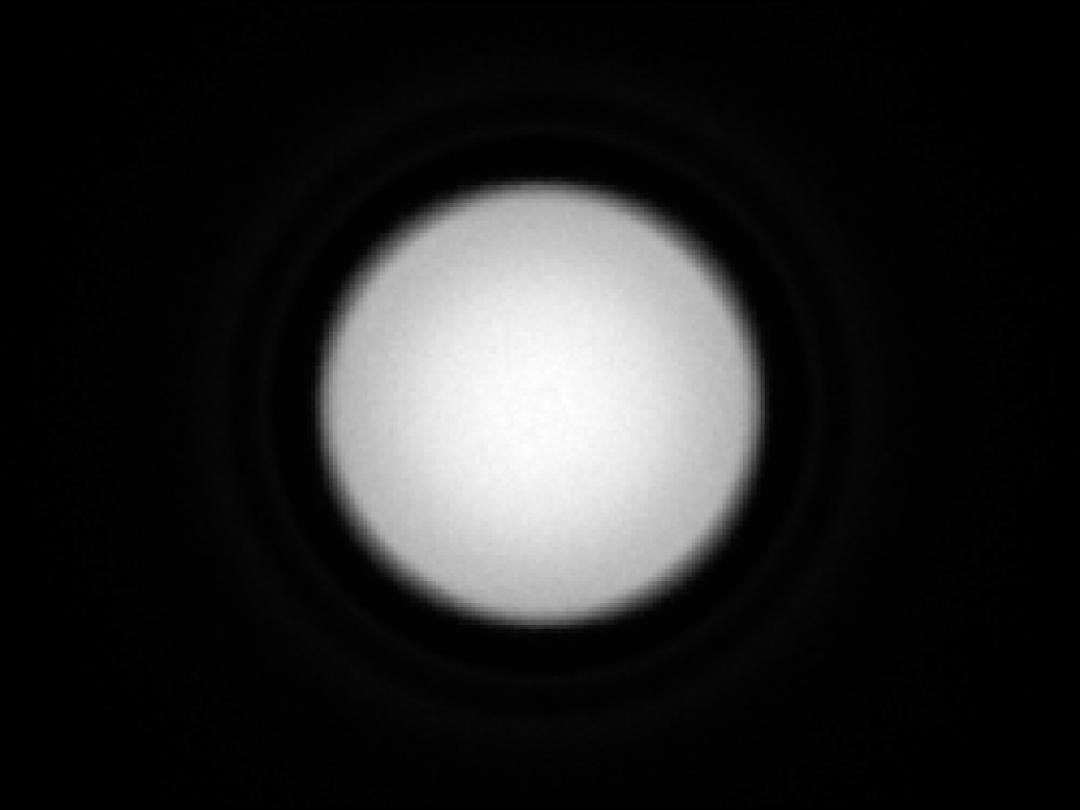 optic-10403-Nichia-NVSW219GF-spot-image.jpg