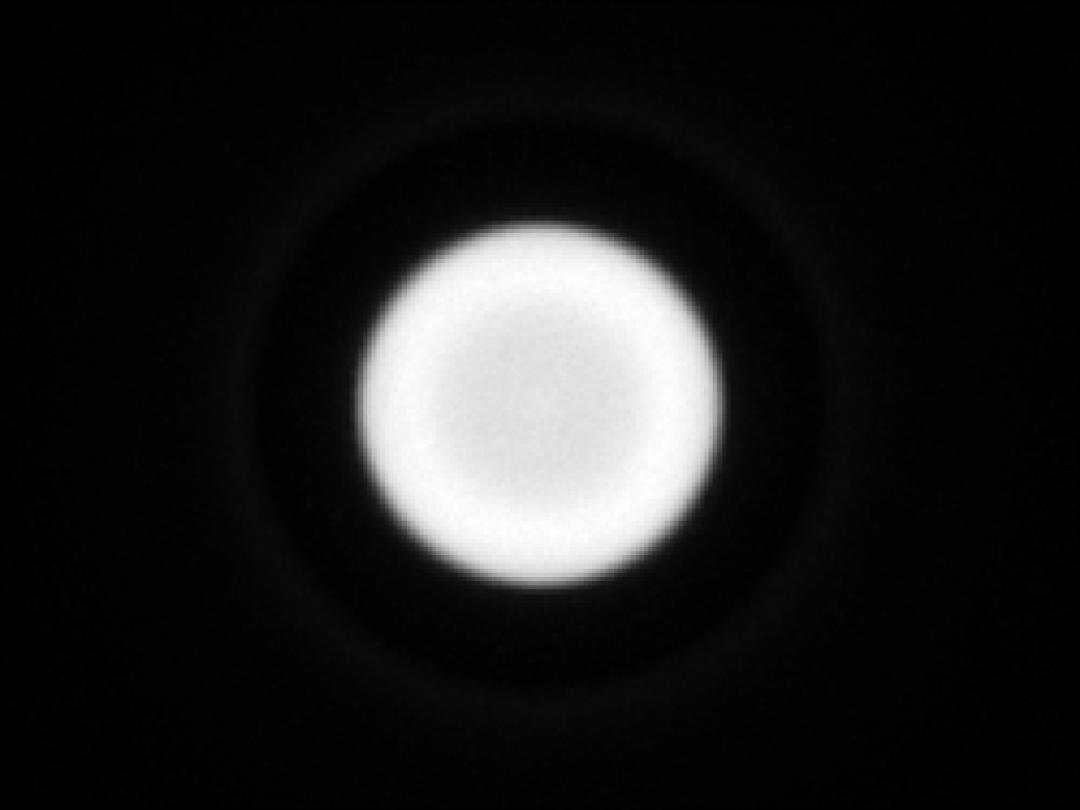 optic-10403-Nichia-NVSWE21A-V1-spot-image.jpg
