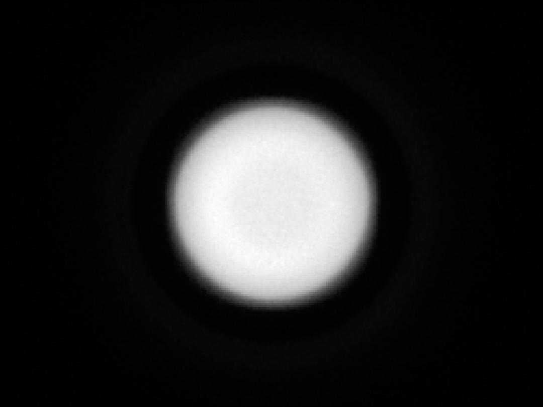 optic-10403-OSCONIQ_C3030-spot-image.jpg