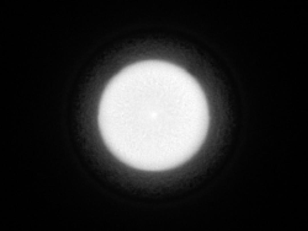 optic-10403-OSCONIQ_P3030-spot-image.jpg