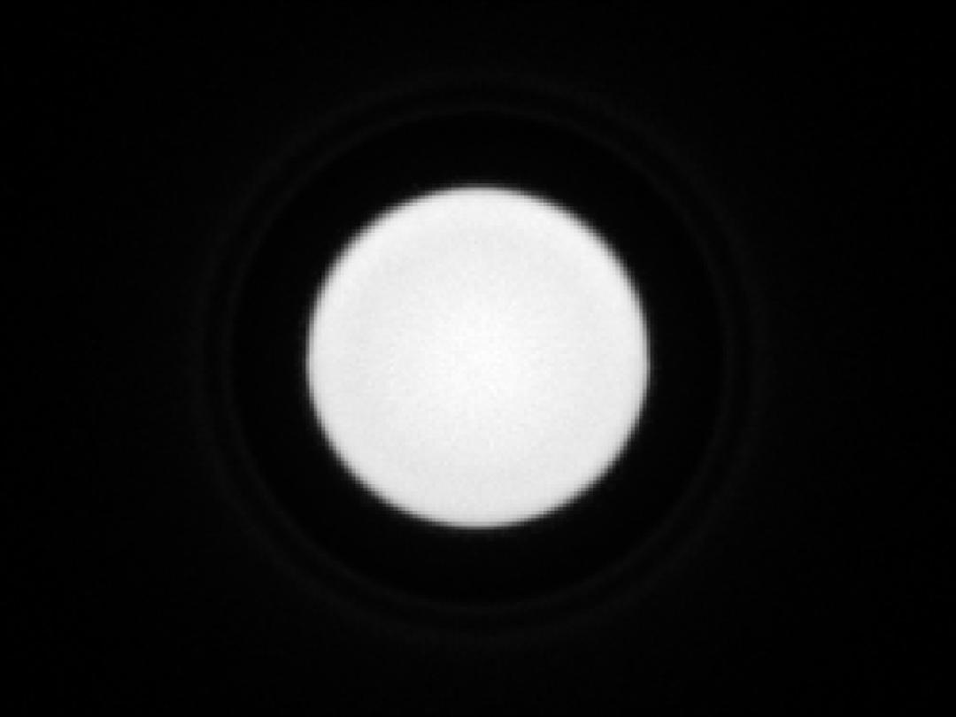 optic-10403-Oslon_Pure_1414-spot-image.jpg