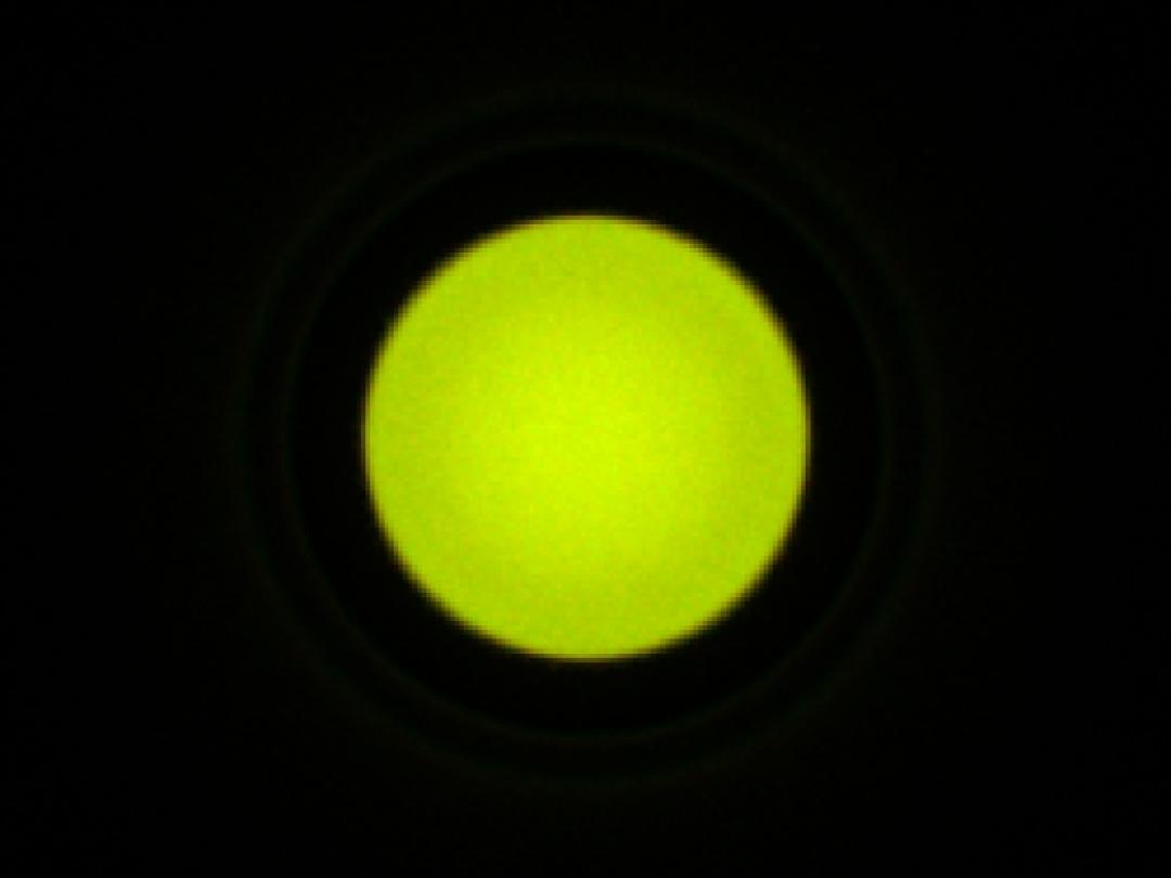 optic-10403-Oslon_Pure_1414_Green-spot-image.jpg