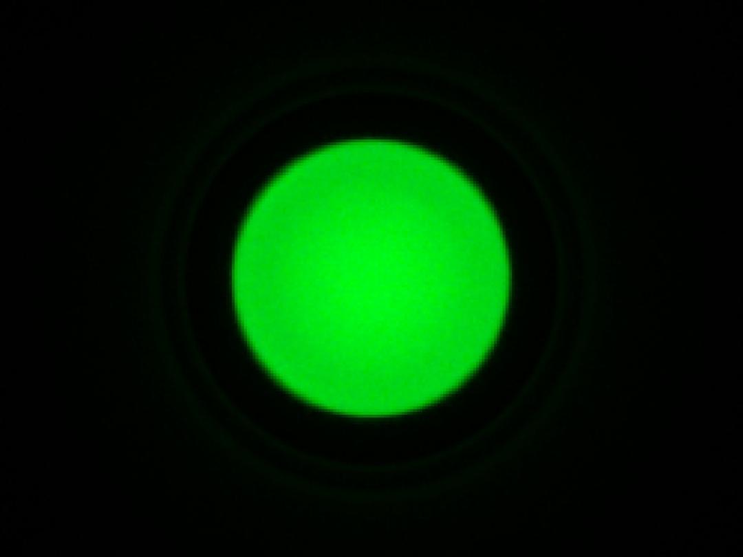 optic-10403-Oslon_Pure_1414_TrueGreen-spot-image.jpg