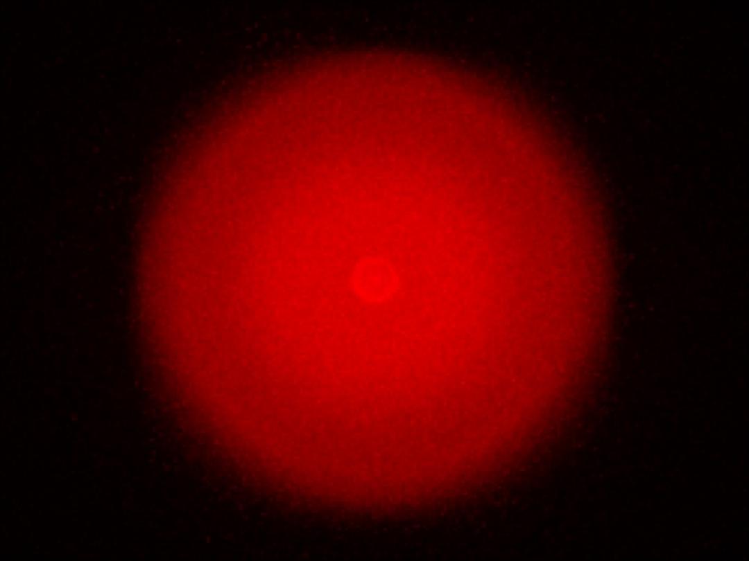 optic-10406-Cree-XP-E2-FarRed-spot-image.jpg