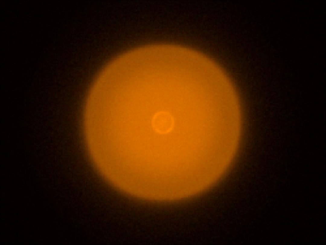 optic-10406-Cree-XQ-A-PCAmber-spot-image.jpg
