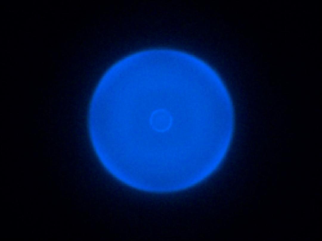 optic-10406-Cree-XQ-A-PCBlue-spot-image.jpg