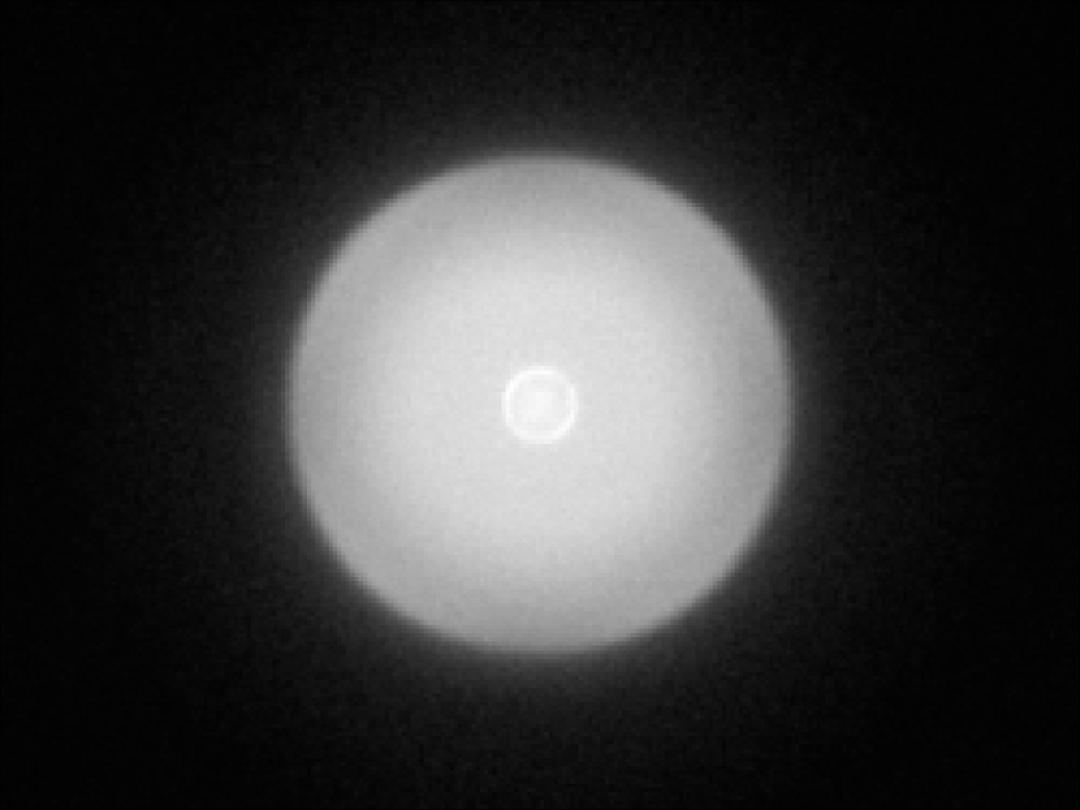 optic-10406-Cree-XQ-A-White-spot-image.jpg
