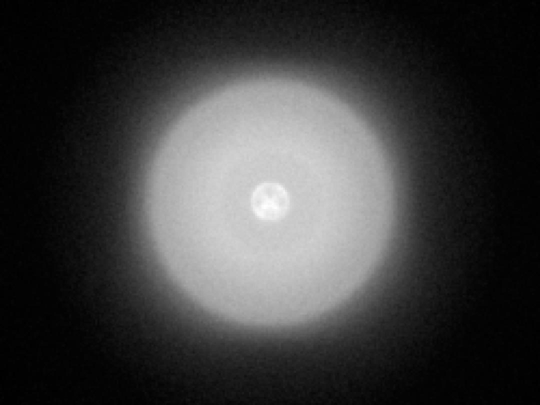 optic-10406-Cree-XQ-E-Plus-HD-White-spot-image.jpg