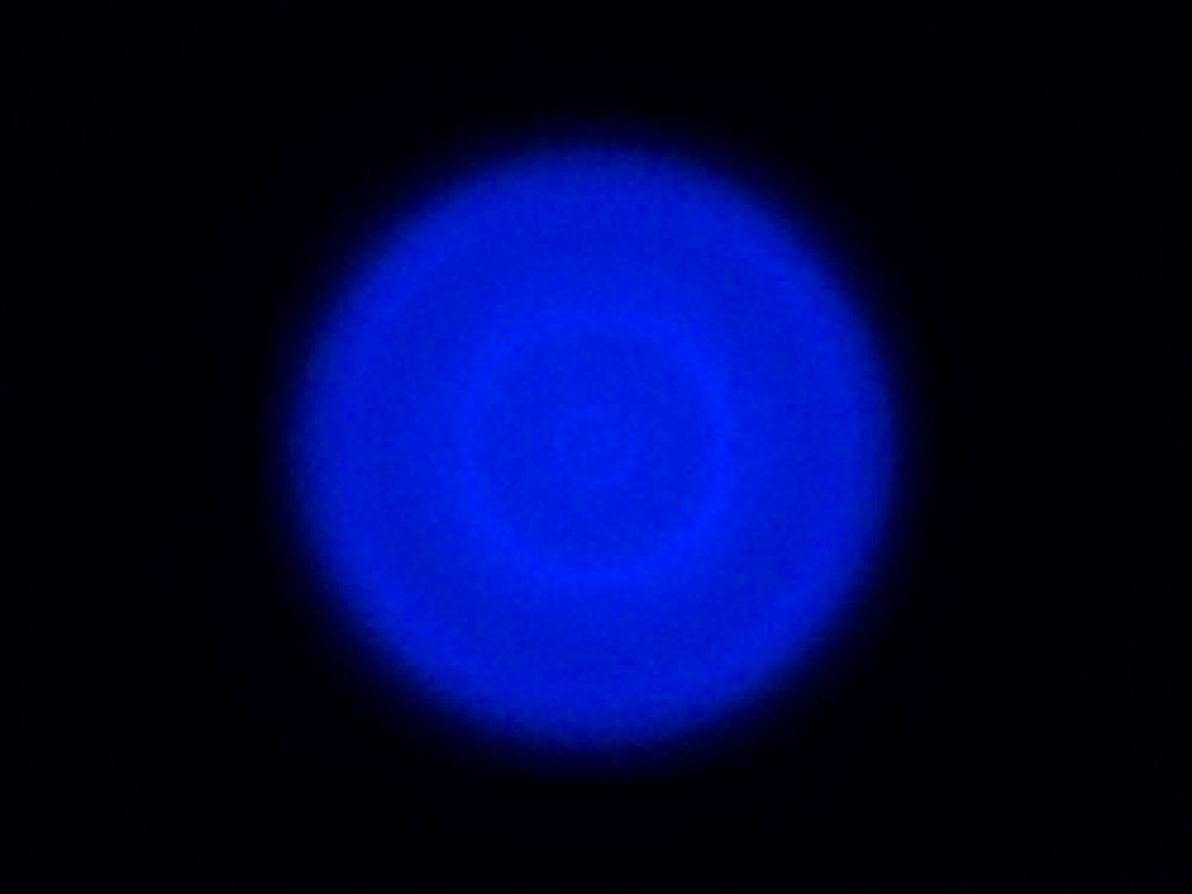 optic-10406-Cree-XQ-E-Plus-HI-Blue-spot-image.jpg