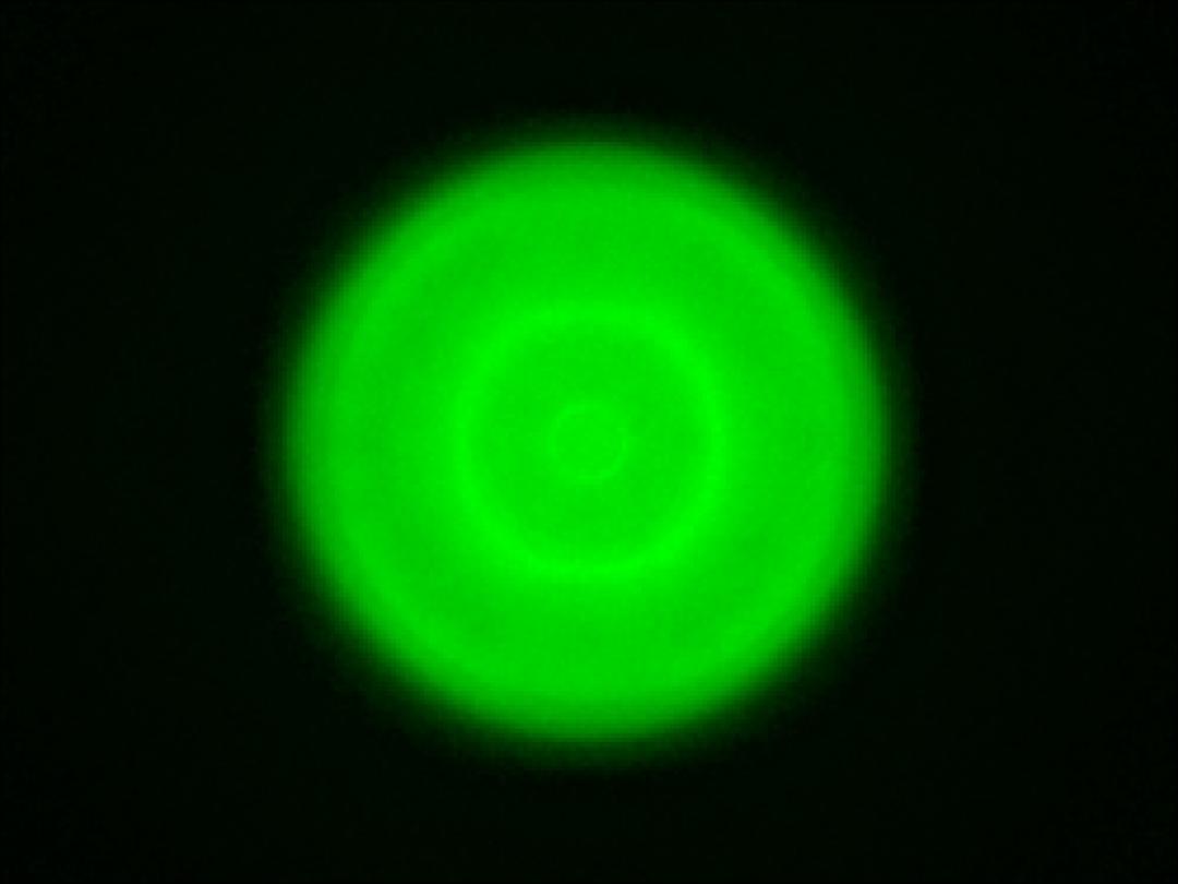 optic-10406-Cree-XQ-E-Plus-HI-Green-spot-image.jpg