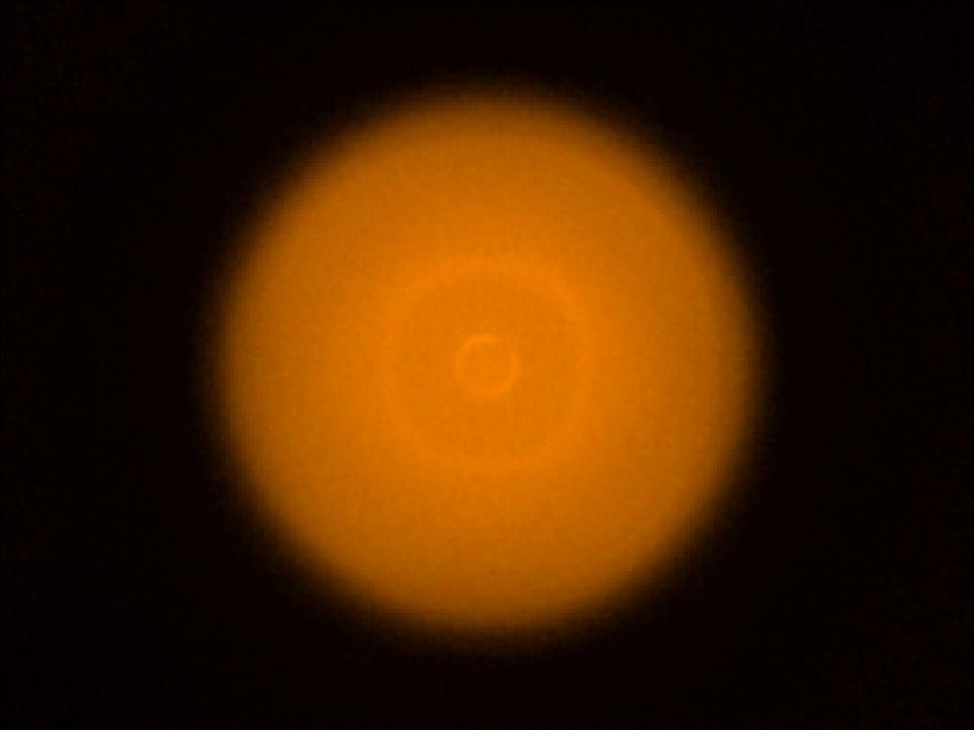 optic-10406-Cree-XQ-E-Plus-HI-PCAmber-spot-image.jpg