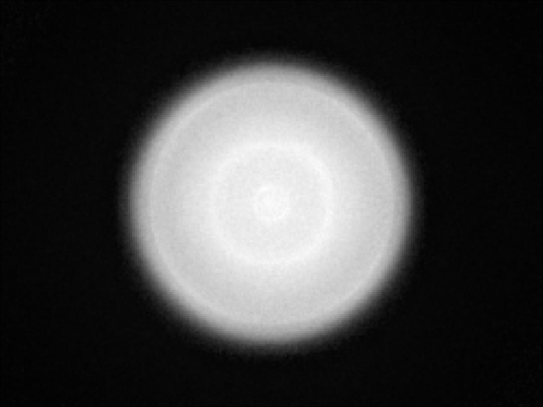 optic-10406-Cree-XQ-E-Plus-HI-White-spot-image.jpg