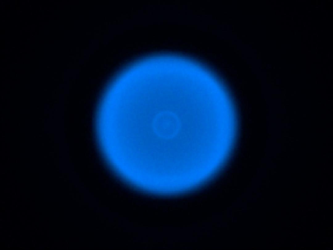 optic-10406-Luxeon-HL1Z-Blue-spot-image.jpg