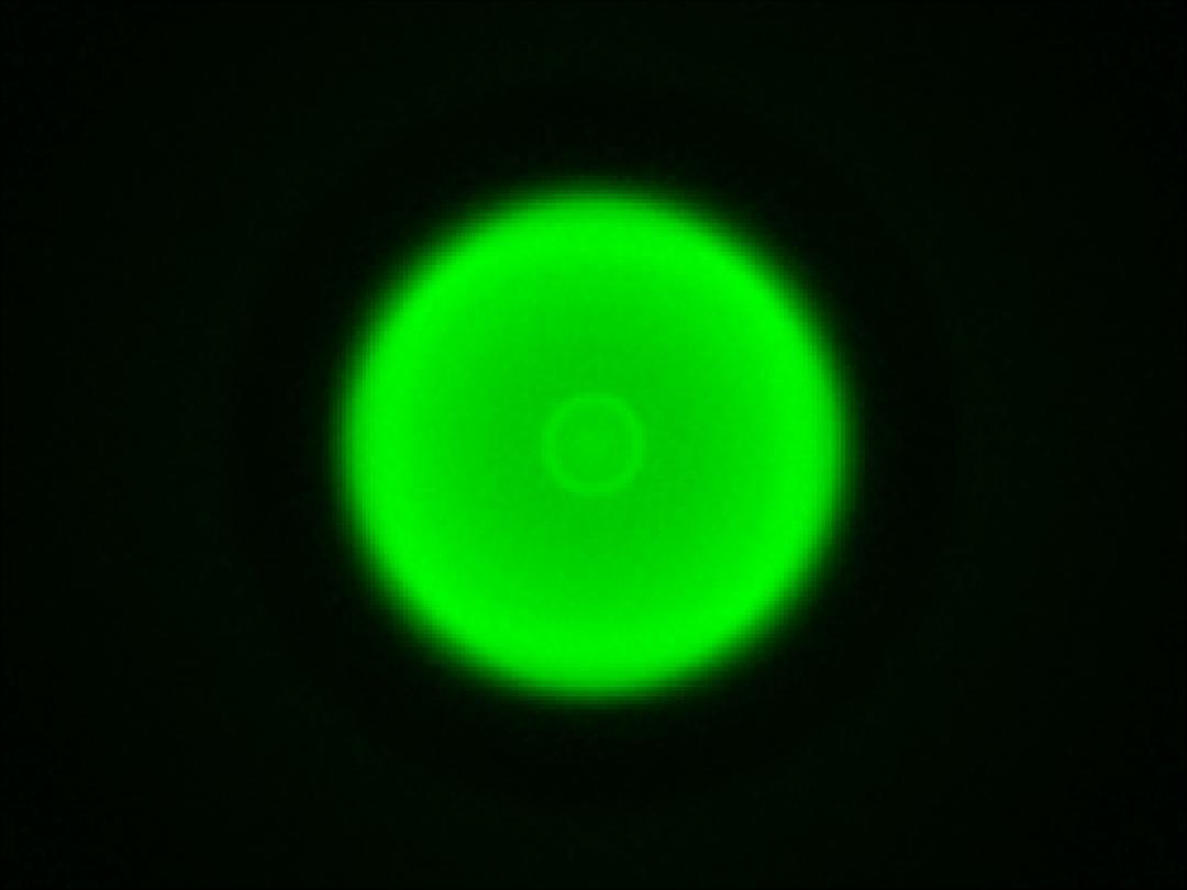 optic-10406-Luxeon-HL1Z-Green-spot-image.jpg