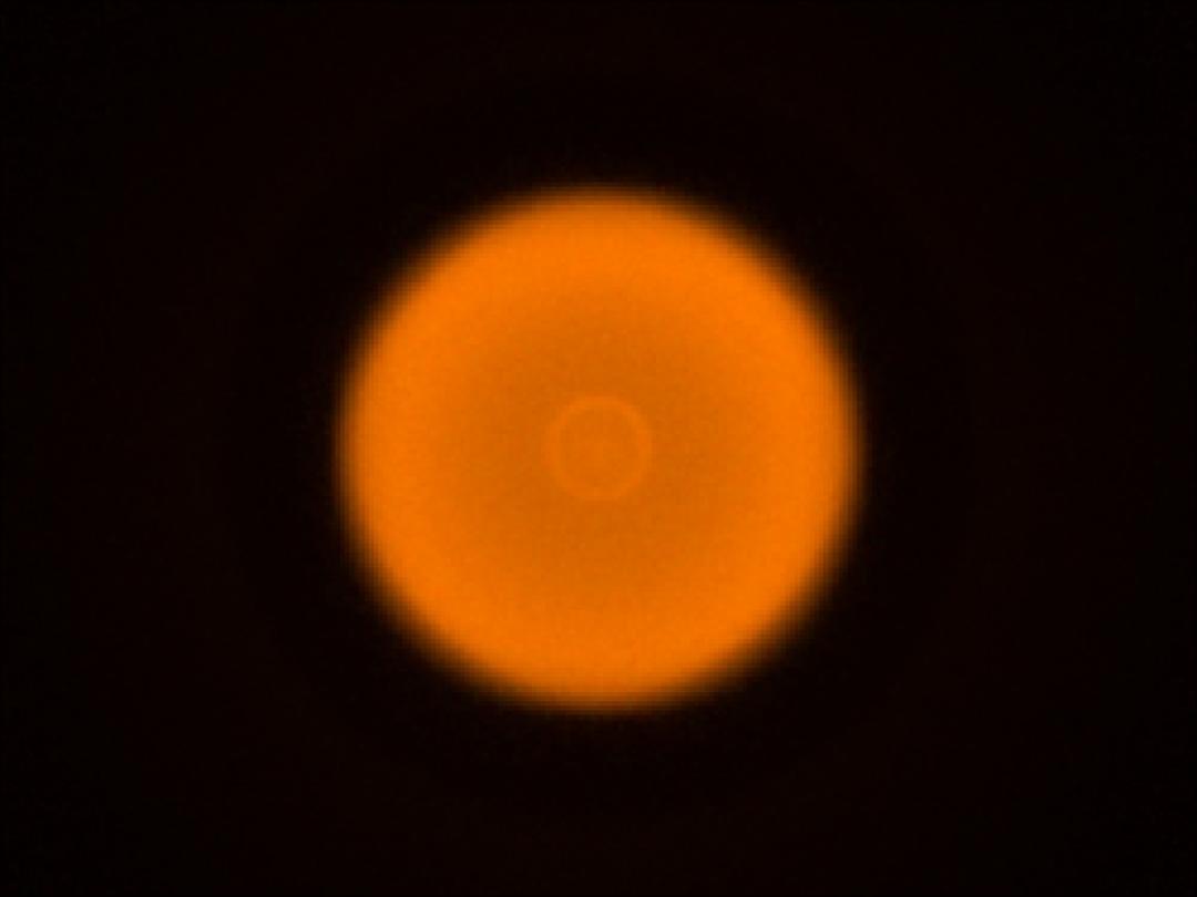 optic-10406-Luxeon-HL1Z-PC-Amber-spot-image.jpg