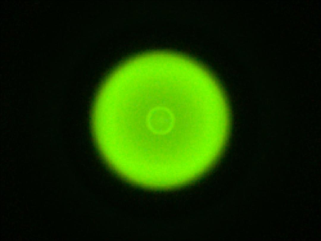 optic-10406-Luxeon-HL1Z-PC-Green-spot-image.jpg