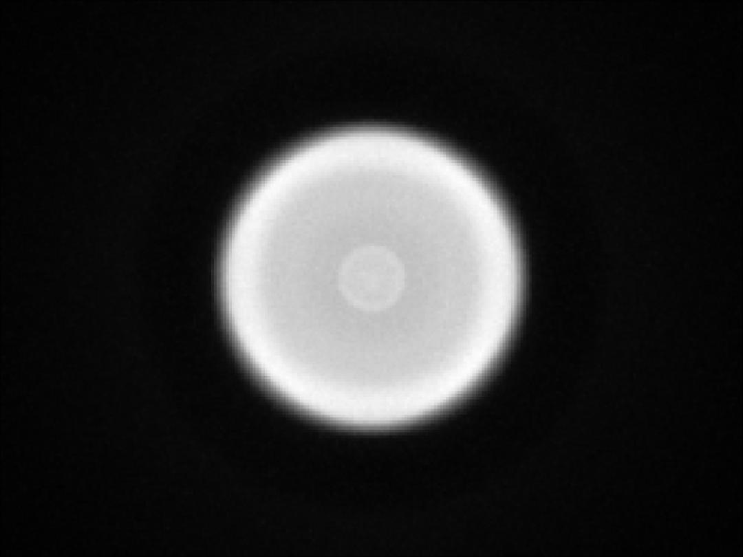 optic-10406-Nichia-NCSWE13A-V1-spot-image.jpg