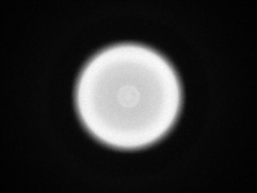 optic-10406-Nichia-NCSWE17A-V1-spot-image.jpg