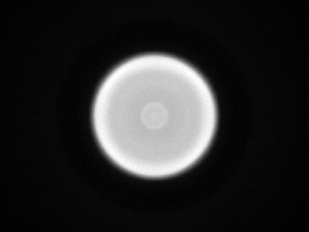 optic-10406-Nichia-NFSWE11A-V1-spot-image.jpg