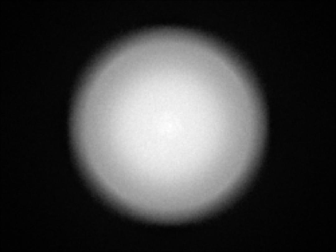 optic-10406-Nichia-NVSW219GF-spot-image.jpg