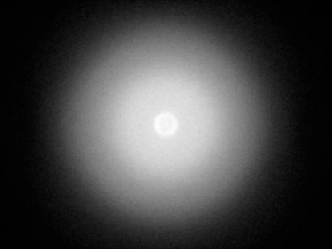 optic-10406-Nichia-NVSW219GL-spot-image.jpg