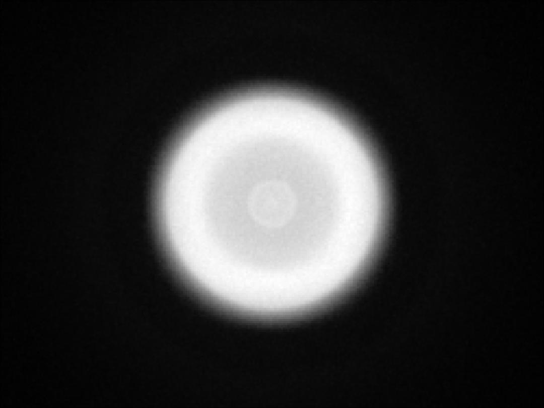 optic-10406-Nichia-NVSWE21A-V1-spot-image.jpg