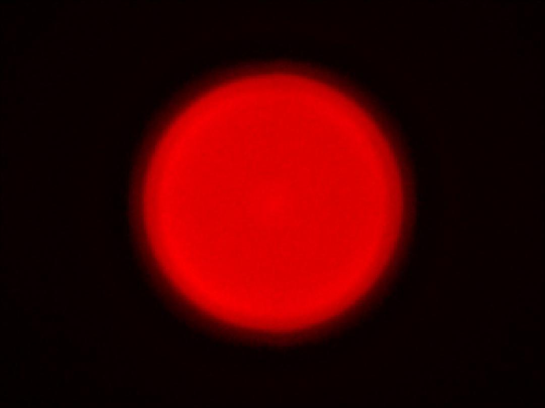 optic-10406-Oslon-Pure-1414_Red-spot-image.jpg