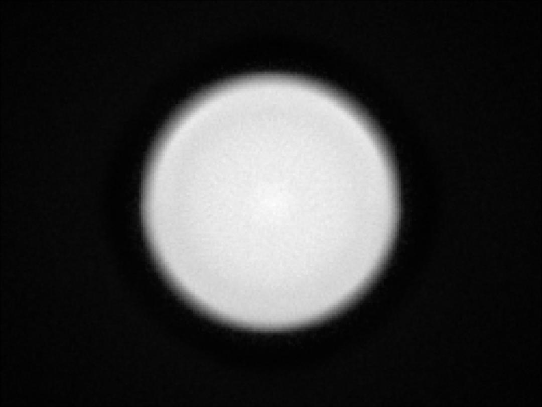 optic-10406-Oslon_Pure_1414-spot-image.jpg