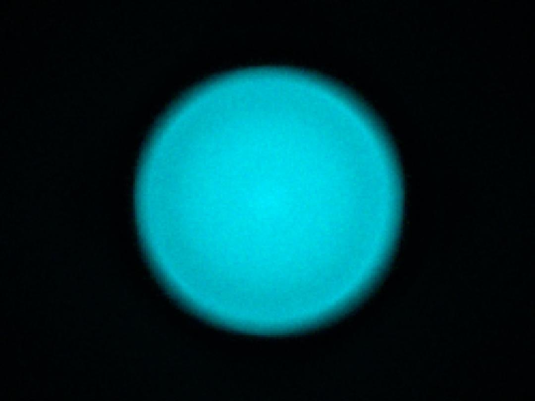 optic-10406-Oslon_Pure_1414_Cyan-spot-image.jpg