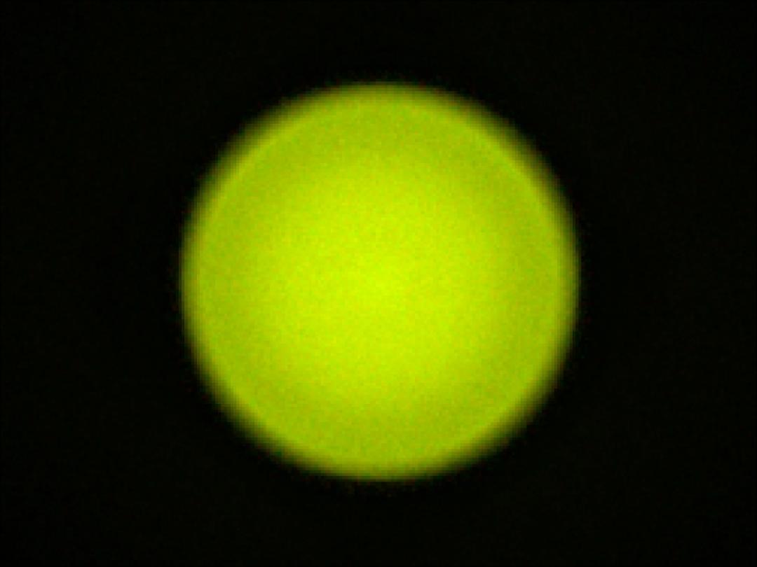 optic-10406-Oslon_Pure_1414_Green-spot-image.jpg