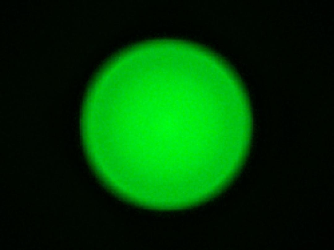 optic-10406-Oslon_Pure_1414_TrueGreen-spot-image.jpg