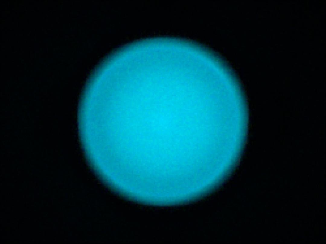 optic-10406-Oslon_Pure_1414_Verde-spot-image.jpg
