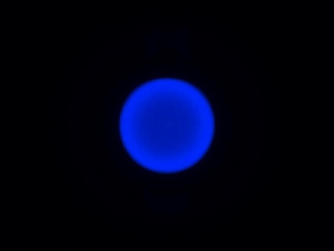 optic-10627-Cree-XP-E2-Blue-spot-image.jpg