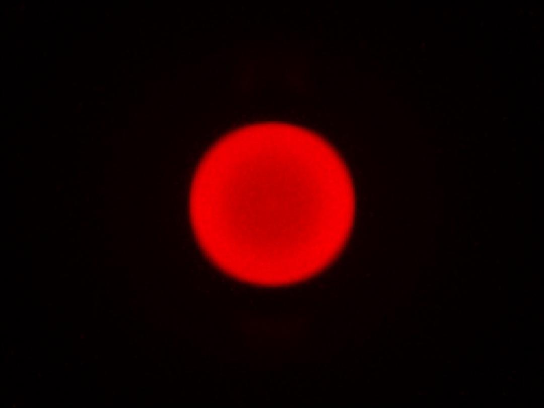 optic-10627-Cree-XP-E2-FarRed-spot-image.jpg