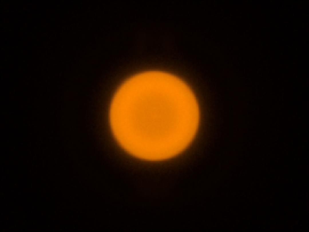 optic-10627-Cree-XP-E2-PC-Amber-spot-image.jpg