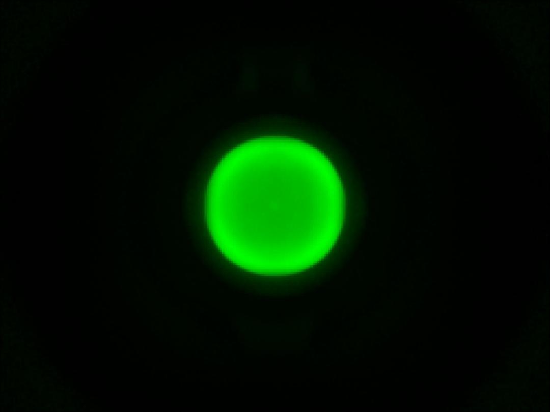 optic-10627-Cree-XQ-A-Green-spot-image.jpg