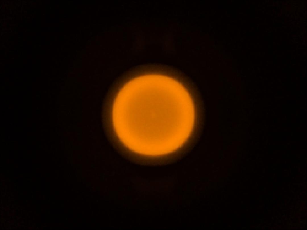 optic-10627-Cree-XQ-A-PCAmber-spot-image.jpg