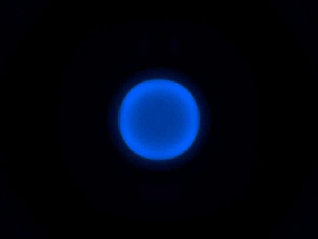 optic-10627-Cree-XQ-A-PCBlue-spot-image.jpg
