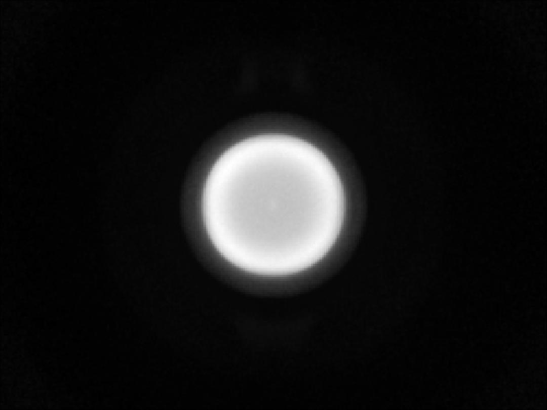 optic-10627-Cree-XQ-A-White-spot-image.jpg