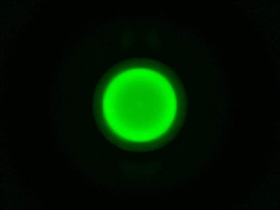 optic-10627-Cree-XQ-E-Plus-HD-Green-spot-image.jpg